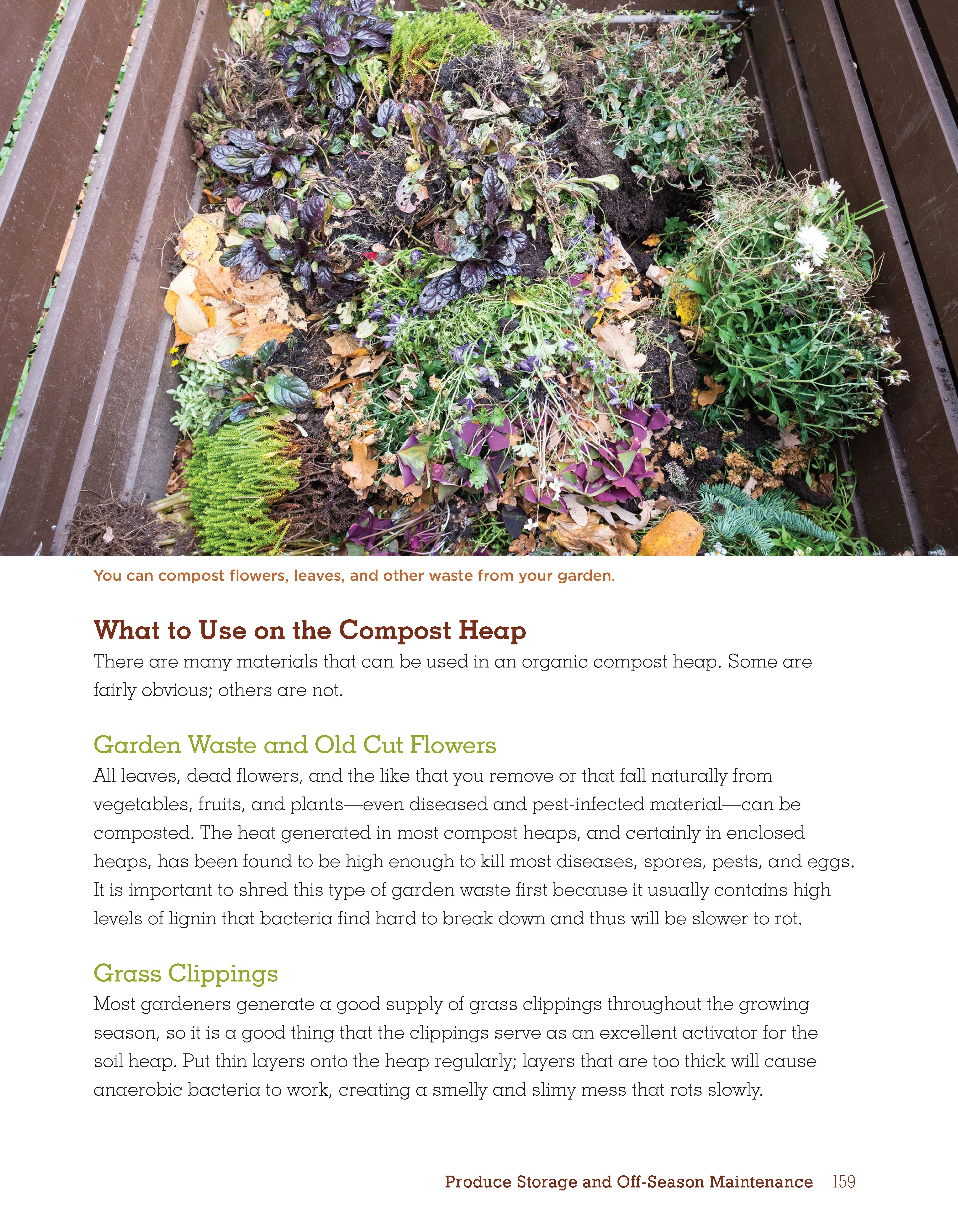 Organic Gardening Techniques - Image 4