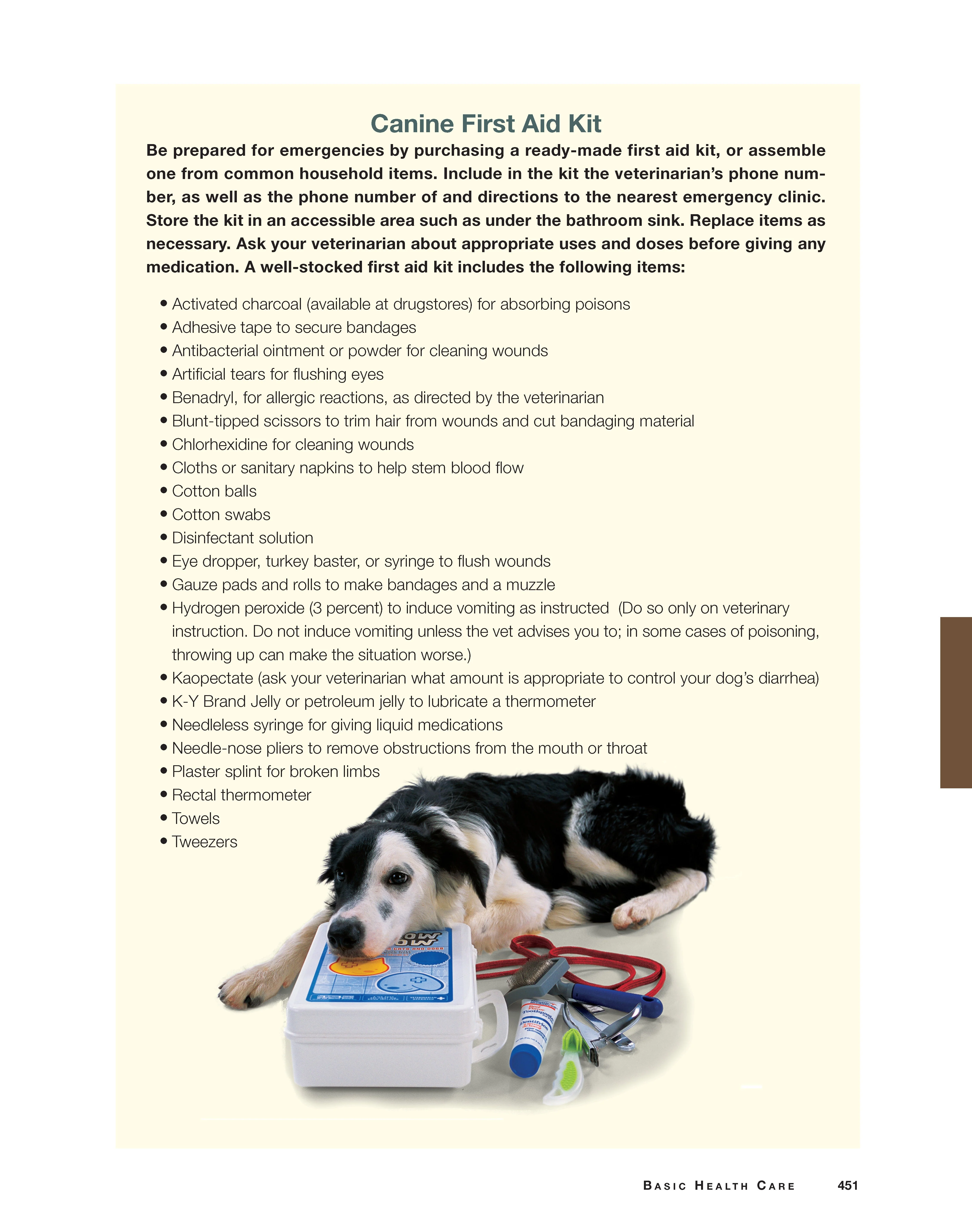 Original Dog Bible - Image 4