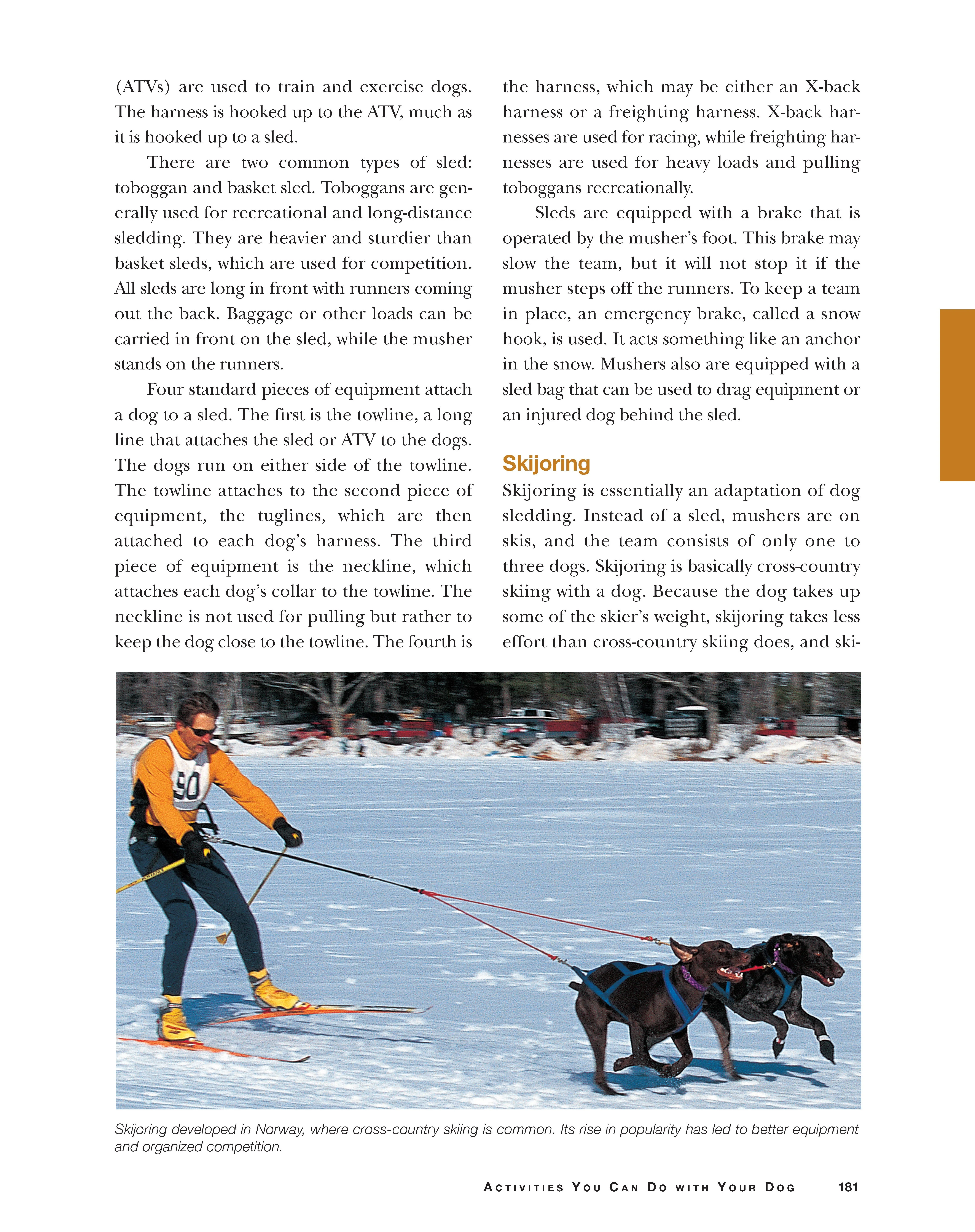 Original Dog Bible - Image 8