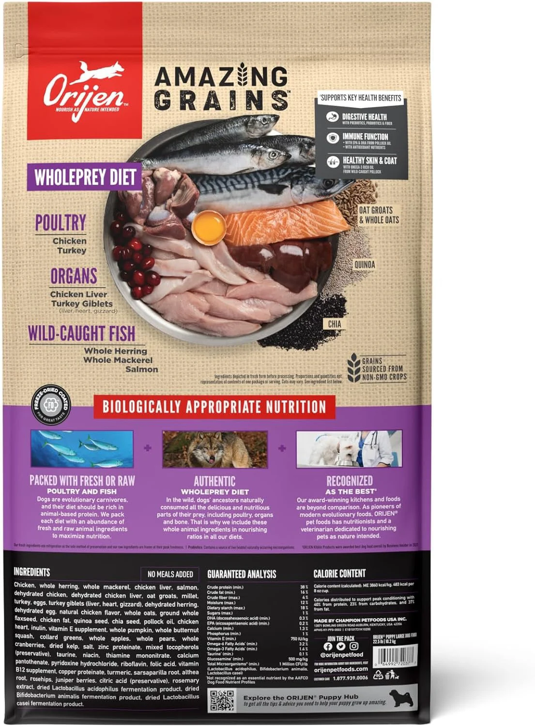 Orijen Amazing Grains Puppy Large Breed Dry Dog Food (22.5lb) - Image 2