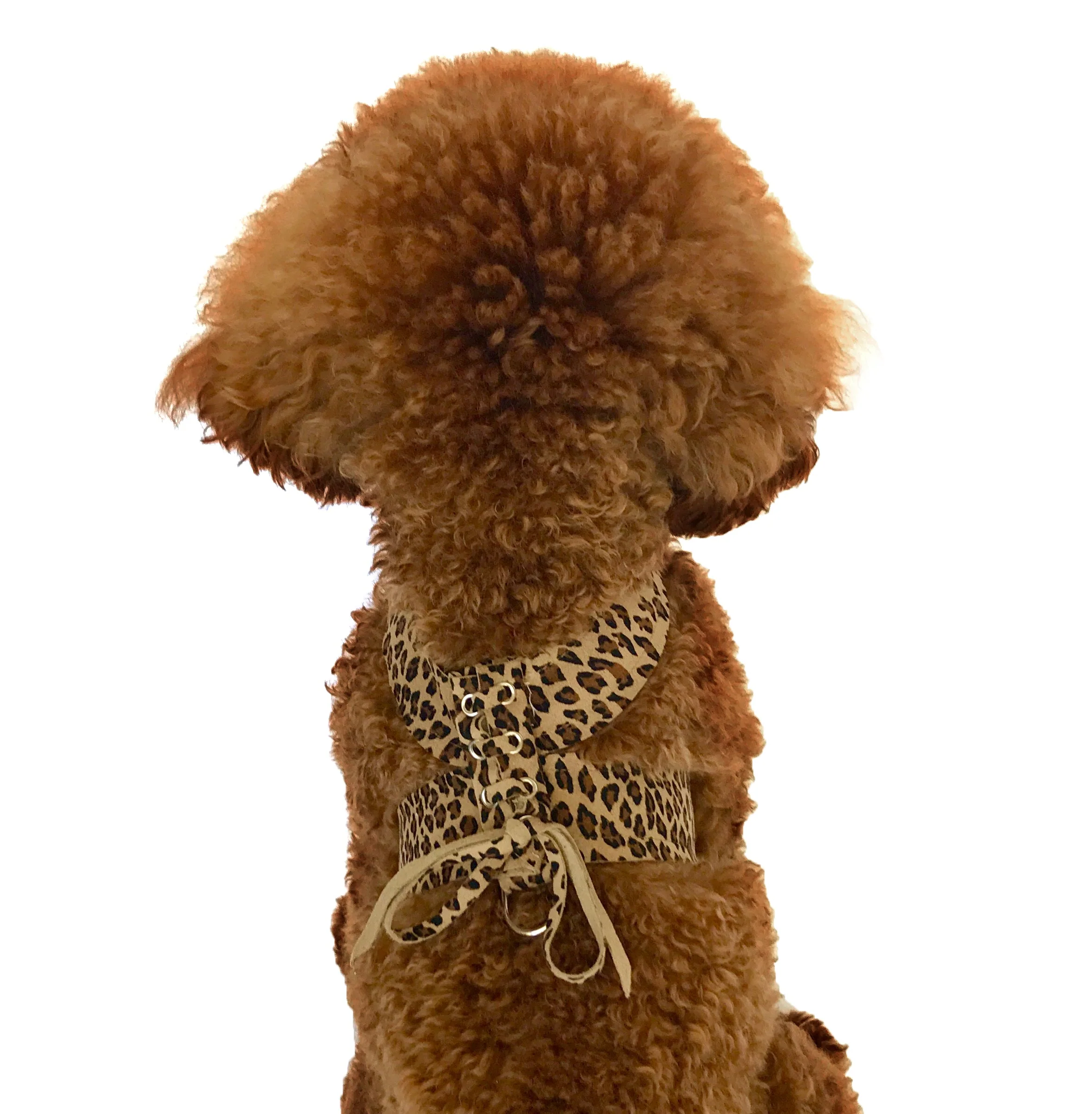 Parisian Corset Harness, Cheetah - Image 2