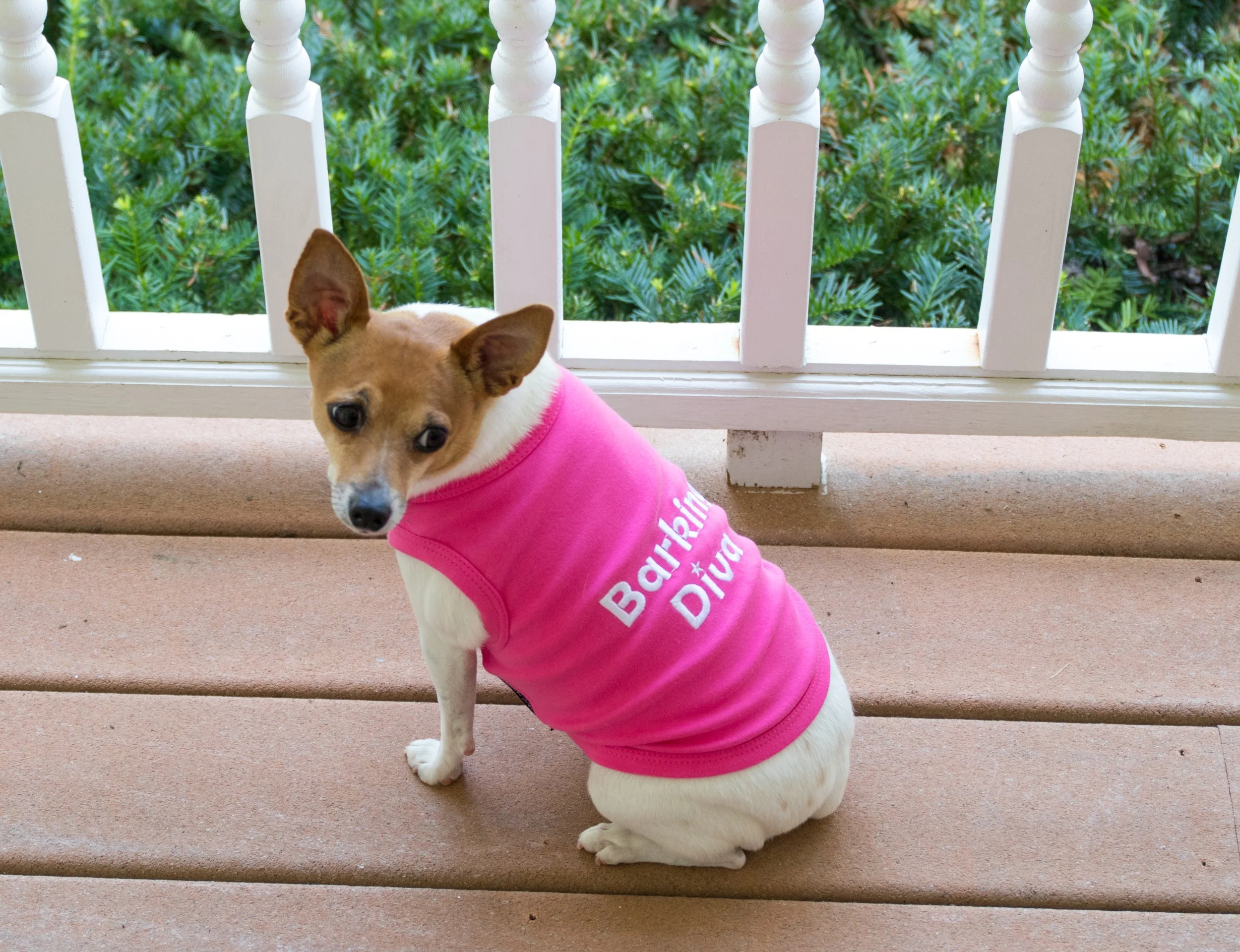 Parisian Pet Barking Diva Dog T-Shirt-Pink - Image 4