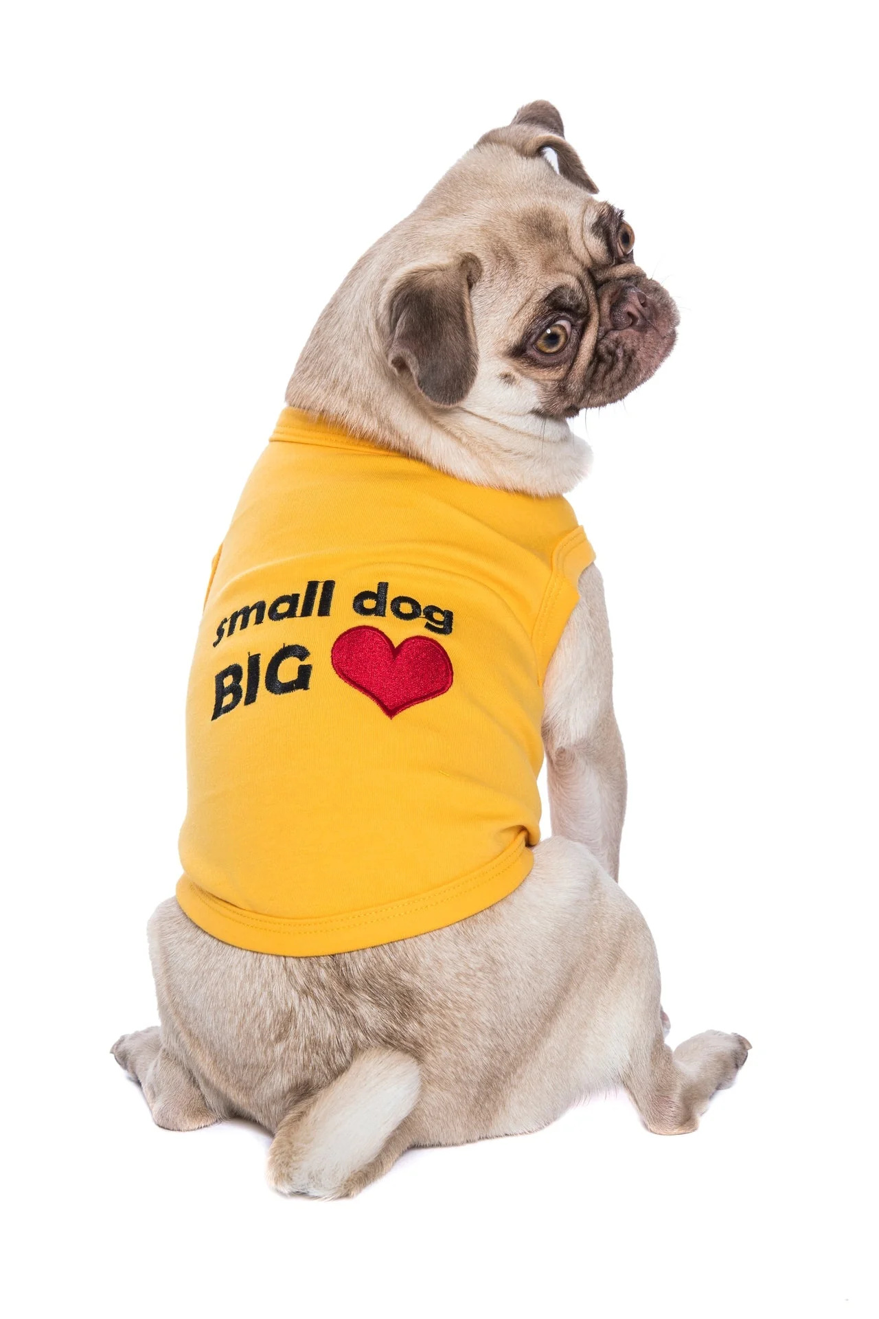 Parisian Pet Big Heart Slogan Dog T-Shirt-Yellow - Image 3