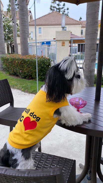 Parisian Pet Big Heart Slogan Dog T-Shirt-Yellow - Image 4