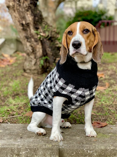 Parisian Pet Buffalo Checkered Sweater - Image 4