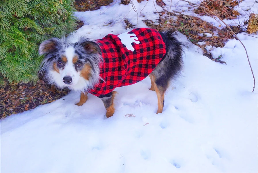 Parisian Pet Buffalo Checkered Sweater - Image 3