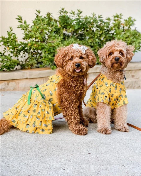 Parisian Pet Cactus Camp Dog Shirt-Yellow - Image 3