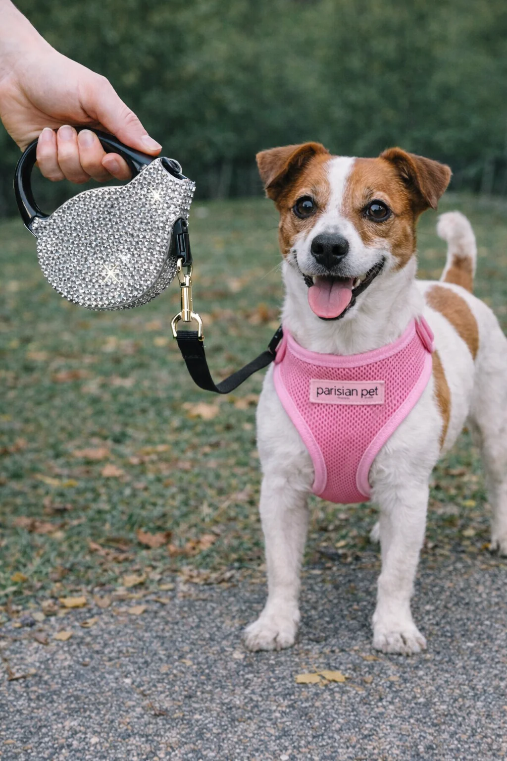 Parisian Pet Crystal Retractable Leash Silver - Image 3
