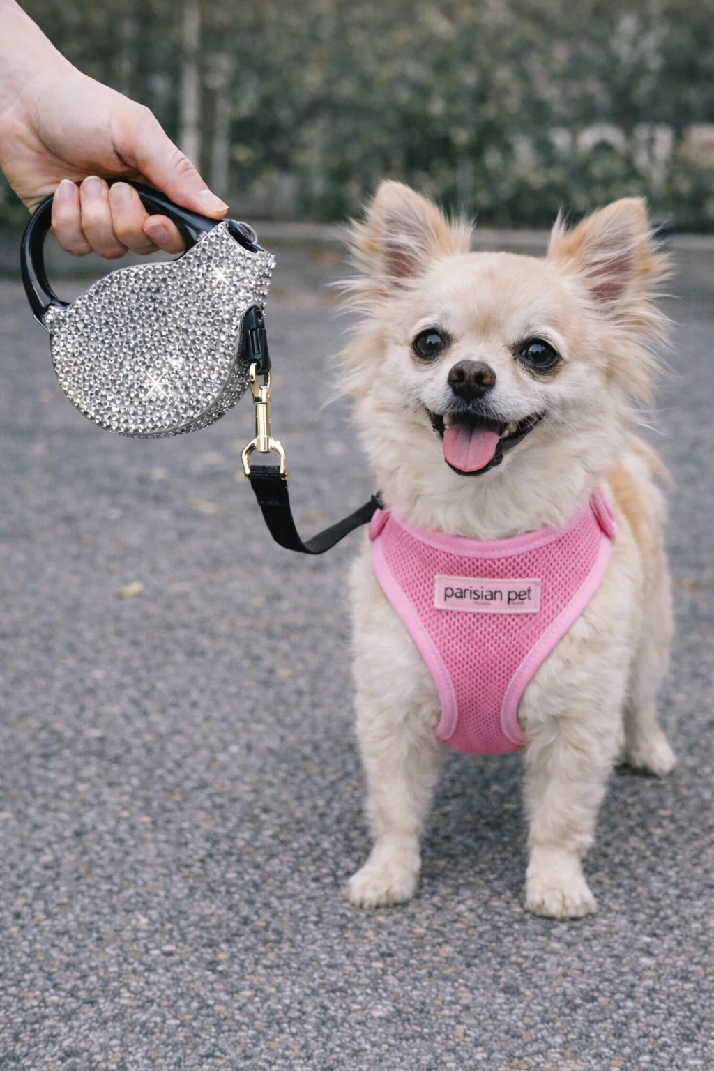 Parisian Pet Crystal Retractable Leash Silver - Image 5