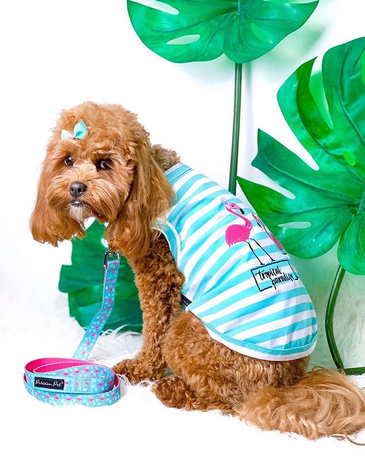 Parisian Pet Flamingos Dog T-Shirt-Light Blue & White Stripes - Image 5