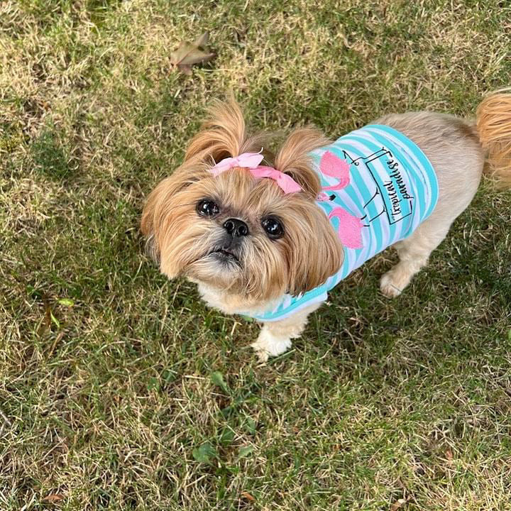 Parisian Pet Flamingos Dog T-Shirt-Light Blue & White Stripes - Image 6