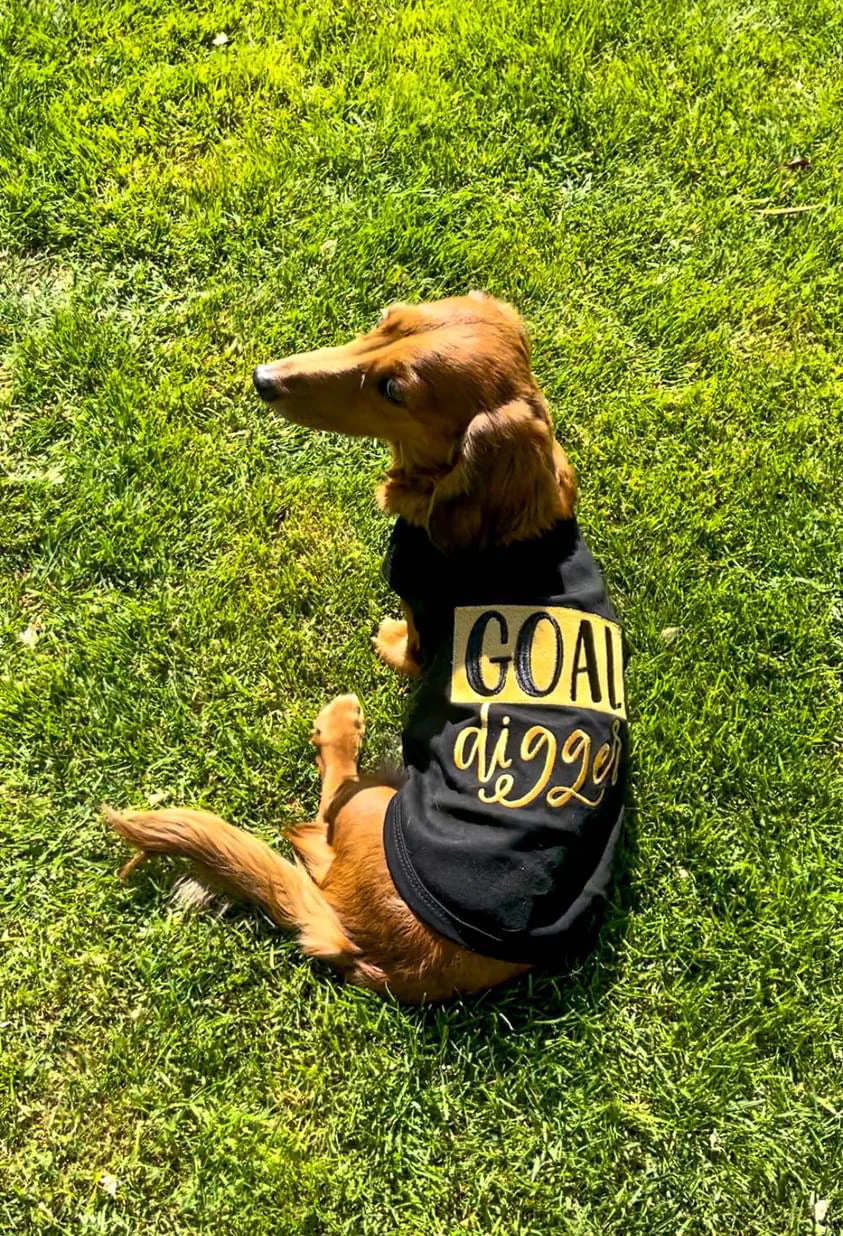 Parisian Pet Goal Digger Motivational Dog T-Shirt - Image 4