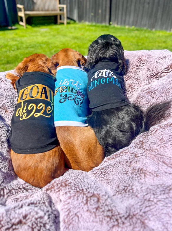 Parisian Pet Goal Digger Motivational Dog T-Shirt - Image 5