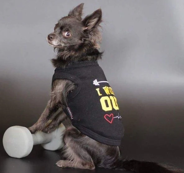 Parisian Pet I Work Out Trendy Dog Apparel-Black - Image 4