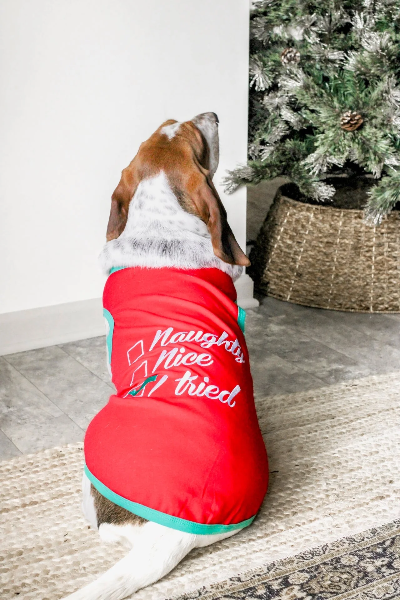 Parisian Pet Naughty or Nice Dog Christmas T-Shirt-Red - Image 5