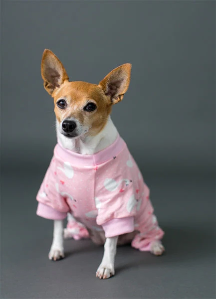 Parisian Pet Pink Swan Pajama - Image 5
