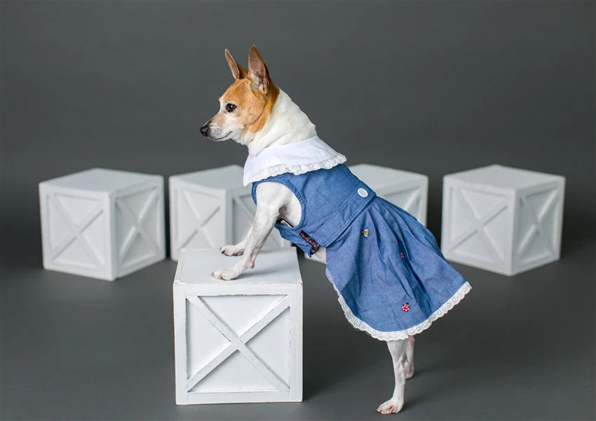 Parisian Pet Prairie Dress-Denim & White - Image 3