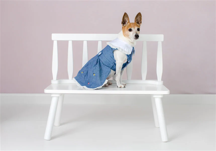 Parisian Pet Prairie Dress-Denim & White - Image 4