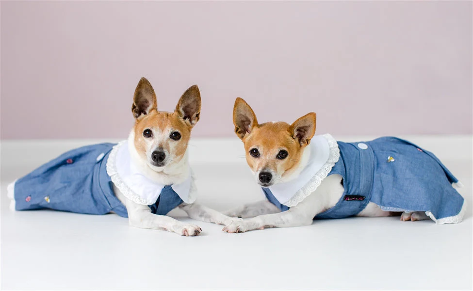 Parisian Pet Prairie Dress-Denim & White - Image 7
