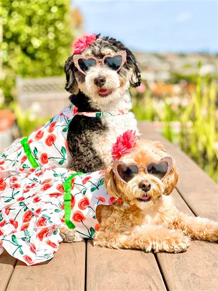 Parisian Pet Red Poppies Boho Dress Dog T-Shirt-Red, White, Green - Image 3
