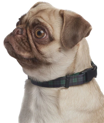 Parisian Pet Scottish Plaid Collar-Green - Image 4