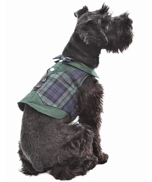 Parisian Pet Scottish Taffeta Tuxedo - Image 3