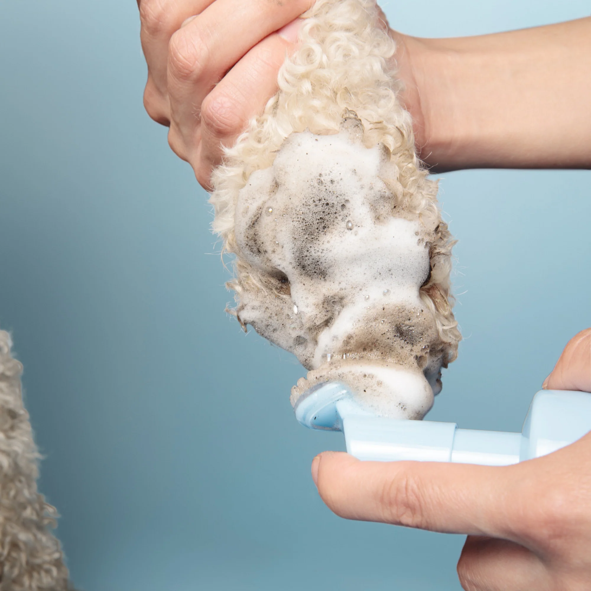 Paw Cleansing Foam Dog Paw Cleaner – Lick-Safe, Hydrating Formula with Built-In Brush Head - Image 10