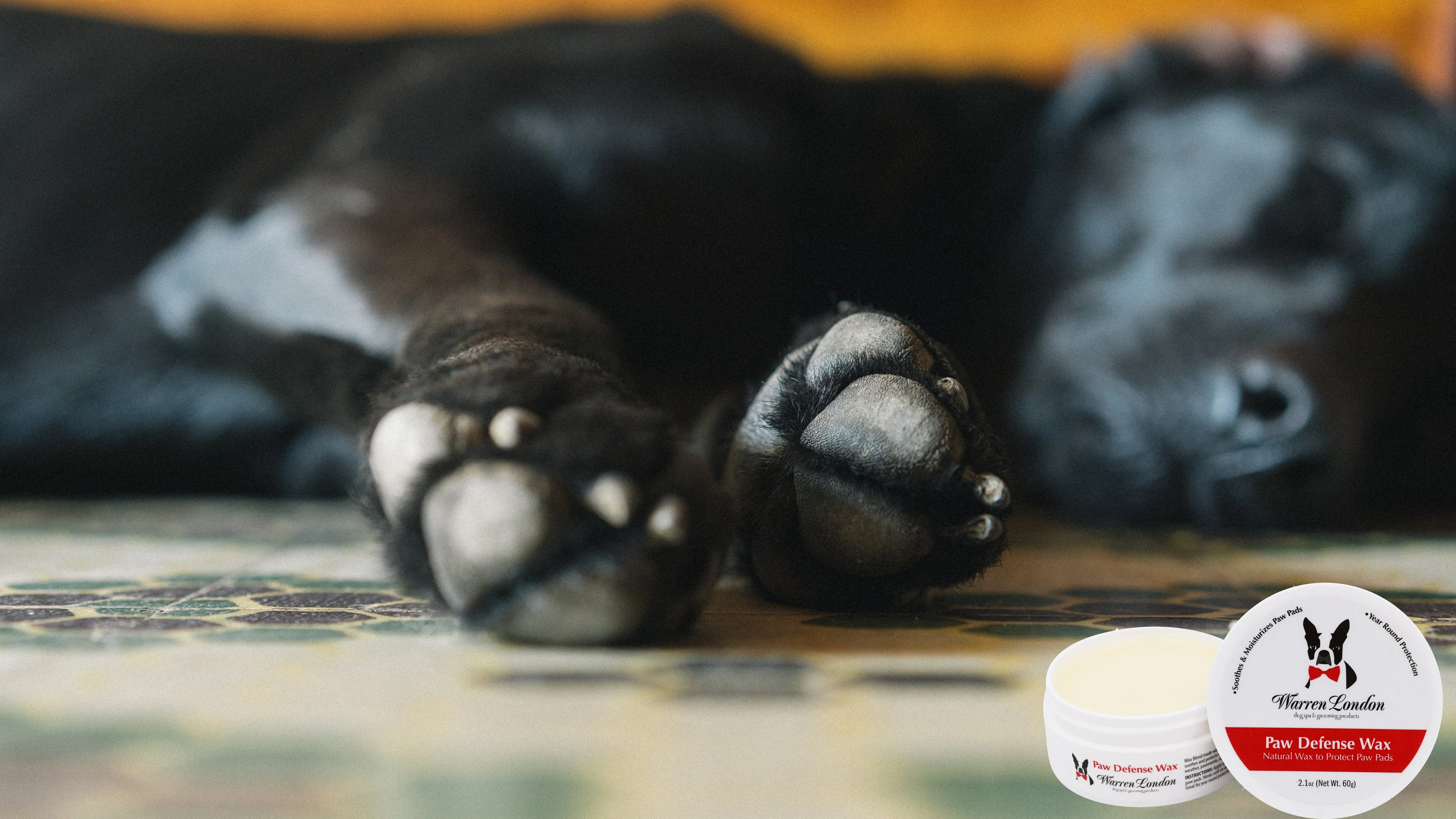 Paw Defense Wax - Soothes, Moisturizes and Protects Dogs Paw Pads - Image 6