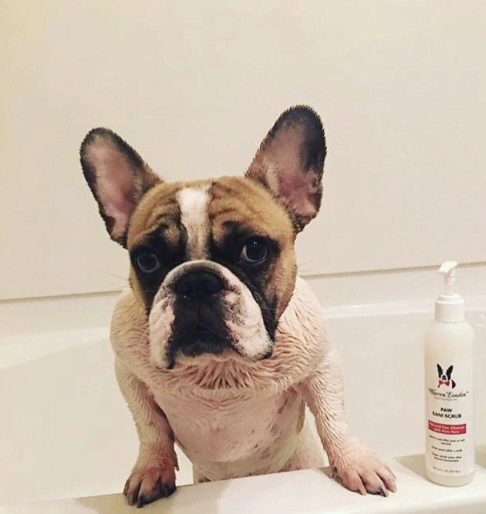 Paw Sani-Scrub - Gallon - Paw and Nail Cleanser - Image 6