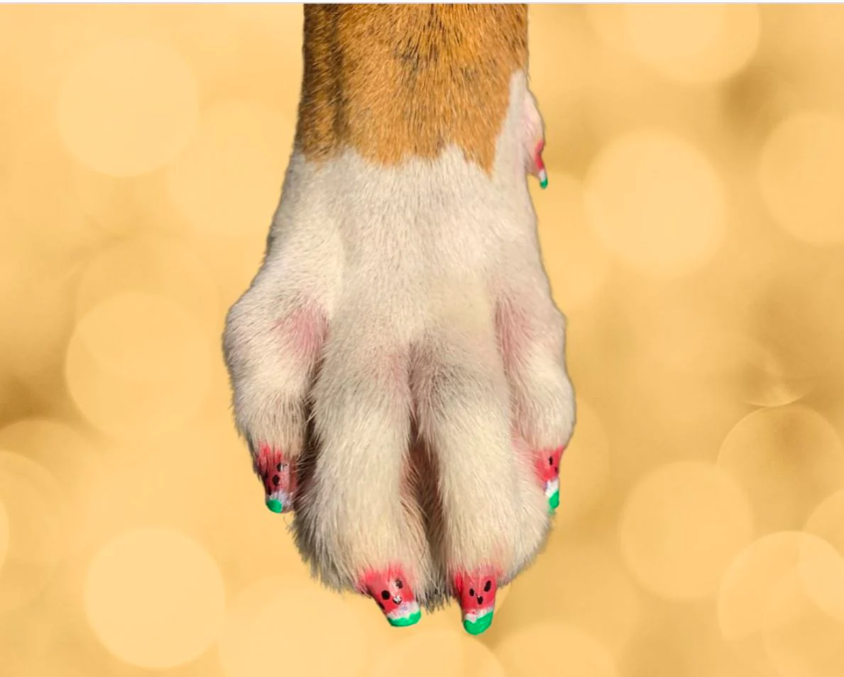 Pawdicure Polish Pens - Choose From 13 Colors! - Dog Nail Polish - Image 23