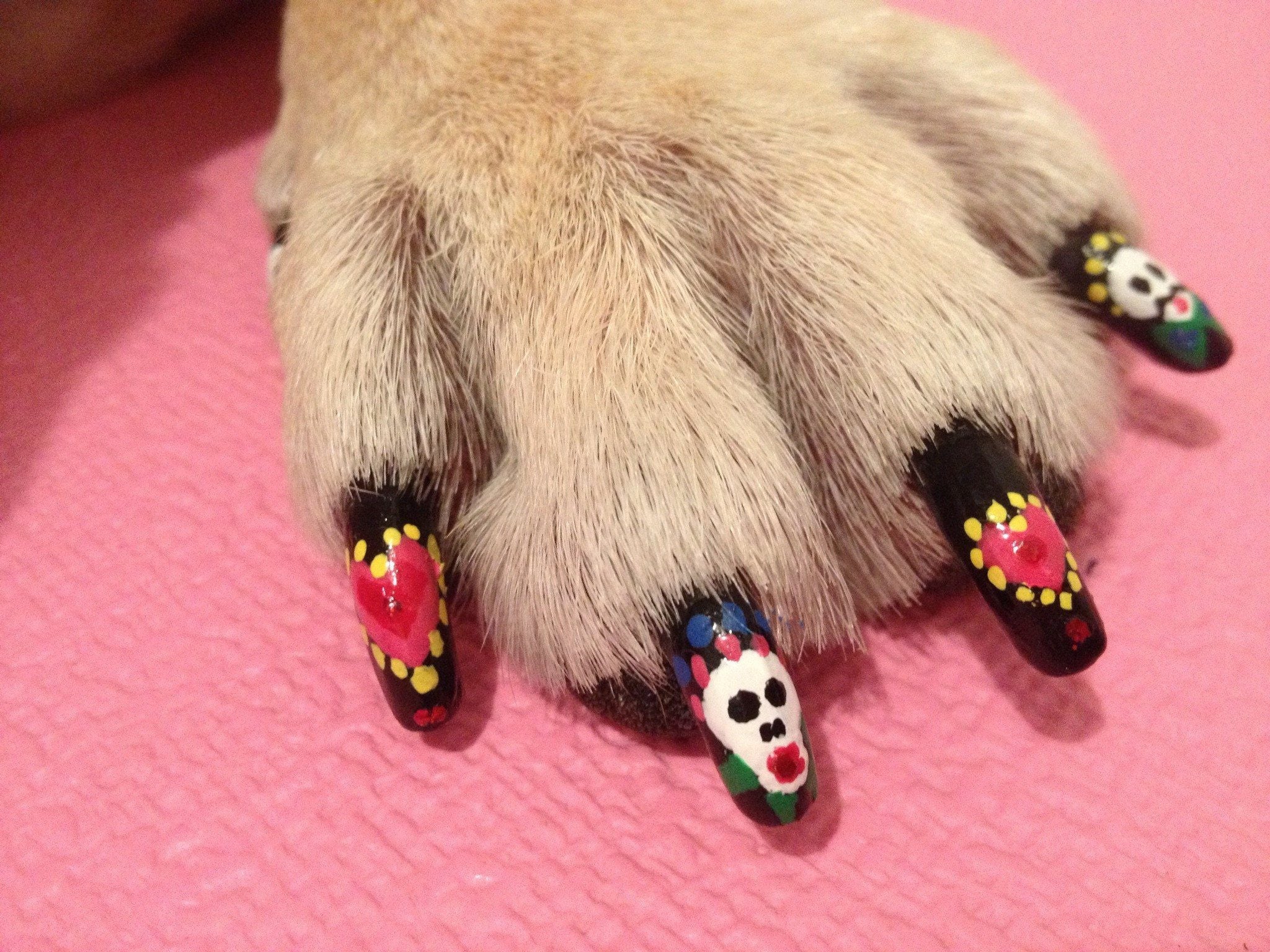 Pawdicure Polish Pens - Choose From 13 Colors! - Dog Nail Polish - Image 24