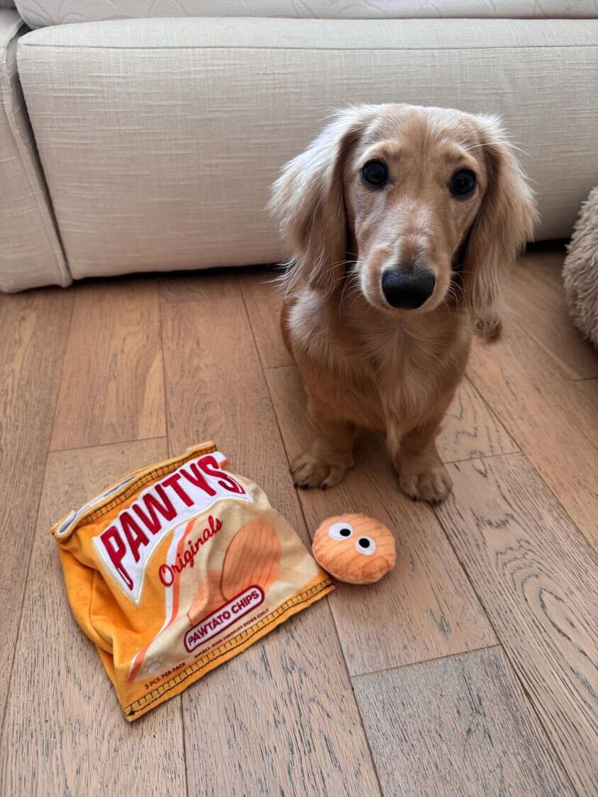Pet Toy: PAWTATO CHIPS INTERACTIVE DOG TOY - Image 9