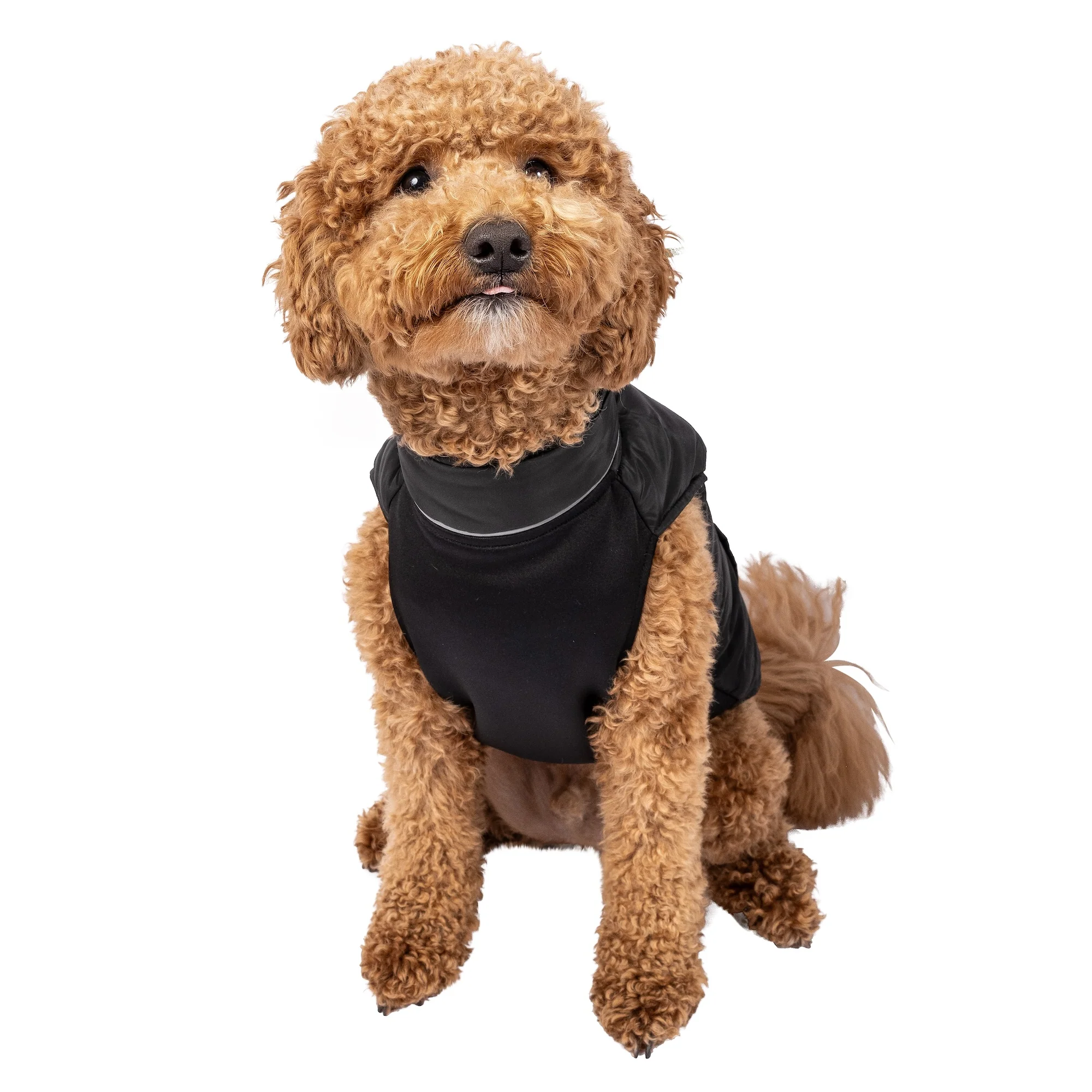 PBR Official Dog Puffer Vest - Zip-Up Insulated Pet Coat - Image 3