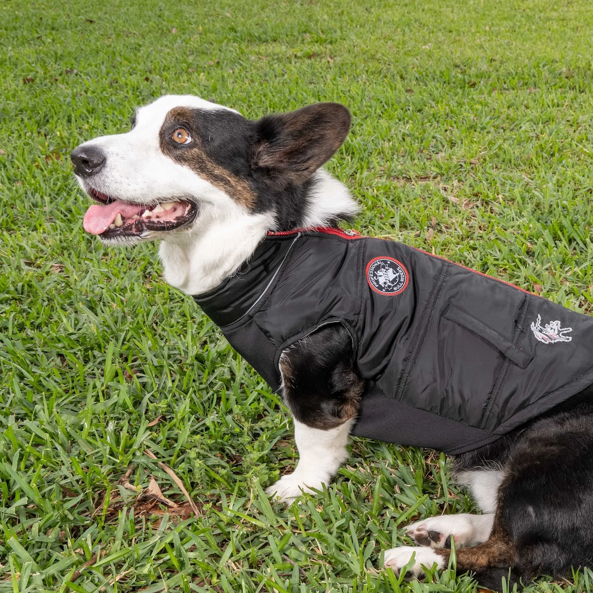 PBR Official Dog Puffer Vest - Zip-Up Insulated Pet Coat - Image 8