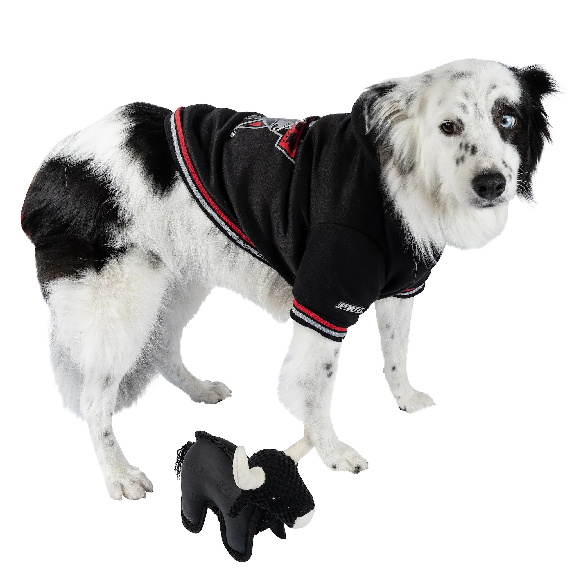 PBR Official Dog Star Logo Hoodie - Image 8
