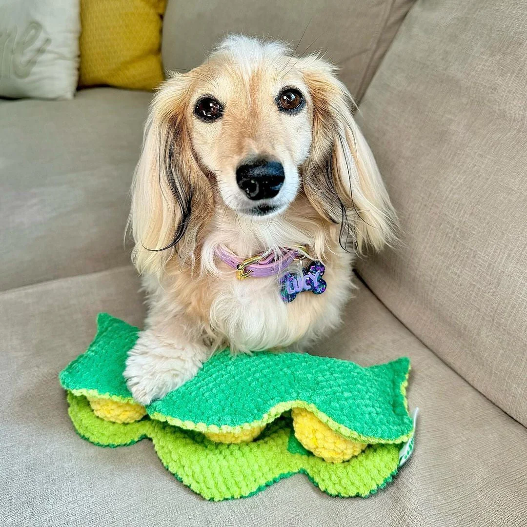 Pet Toy: PEAPOD INTERACTIVE DOG TOY - Image 10