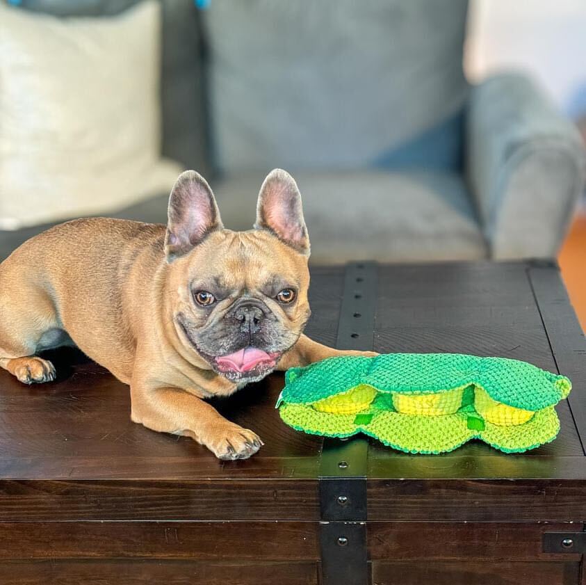Pet Toy: PEAPOD INTERACTIVE DOG TOY - Image 9
