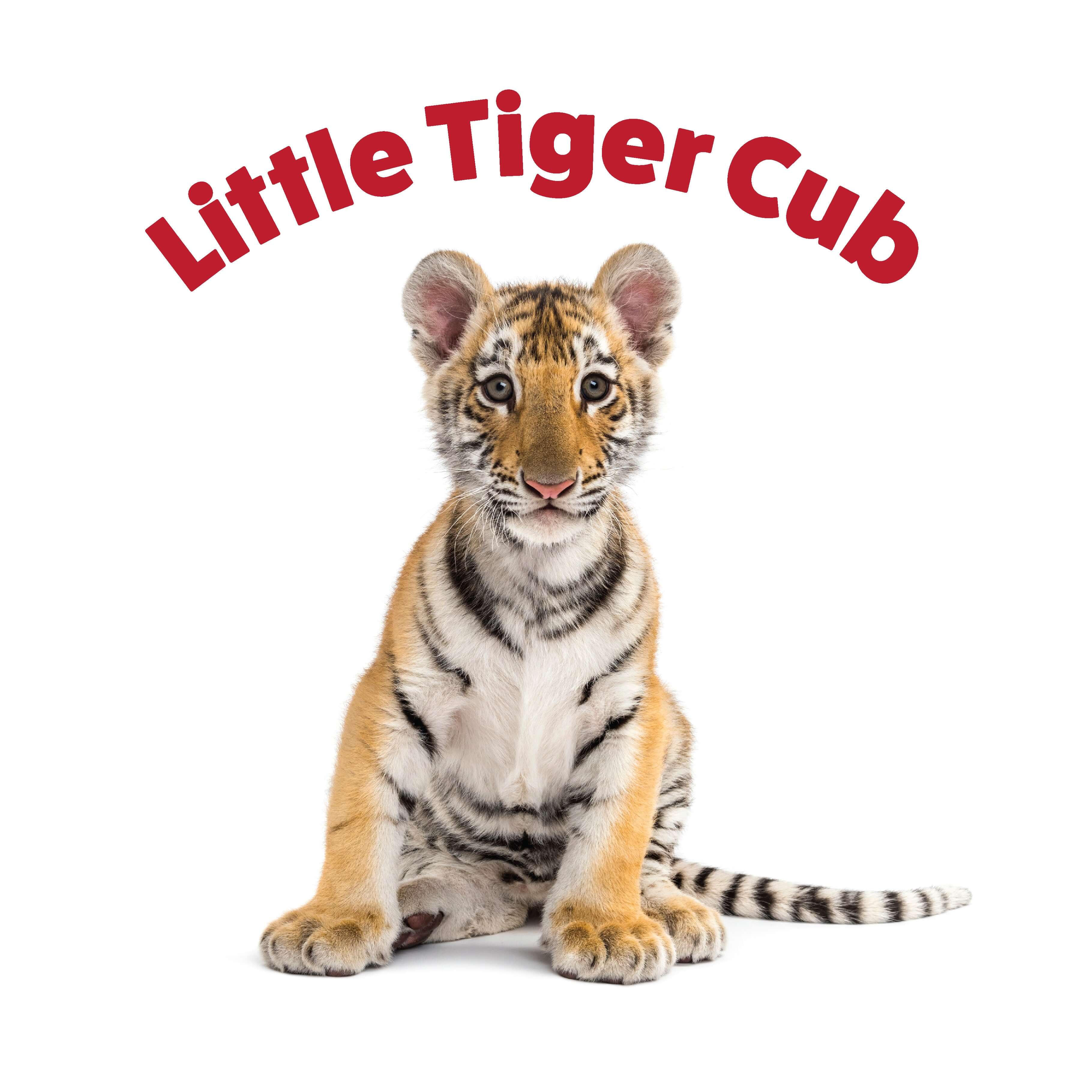 Peek and See Baby Animals All Grown Up - Image 2