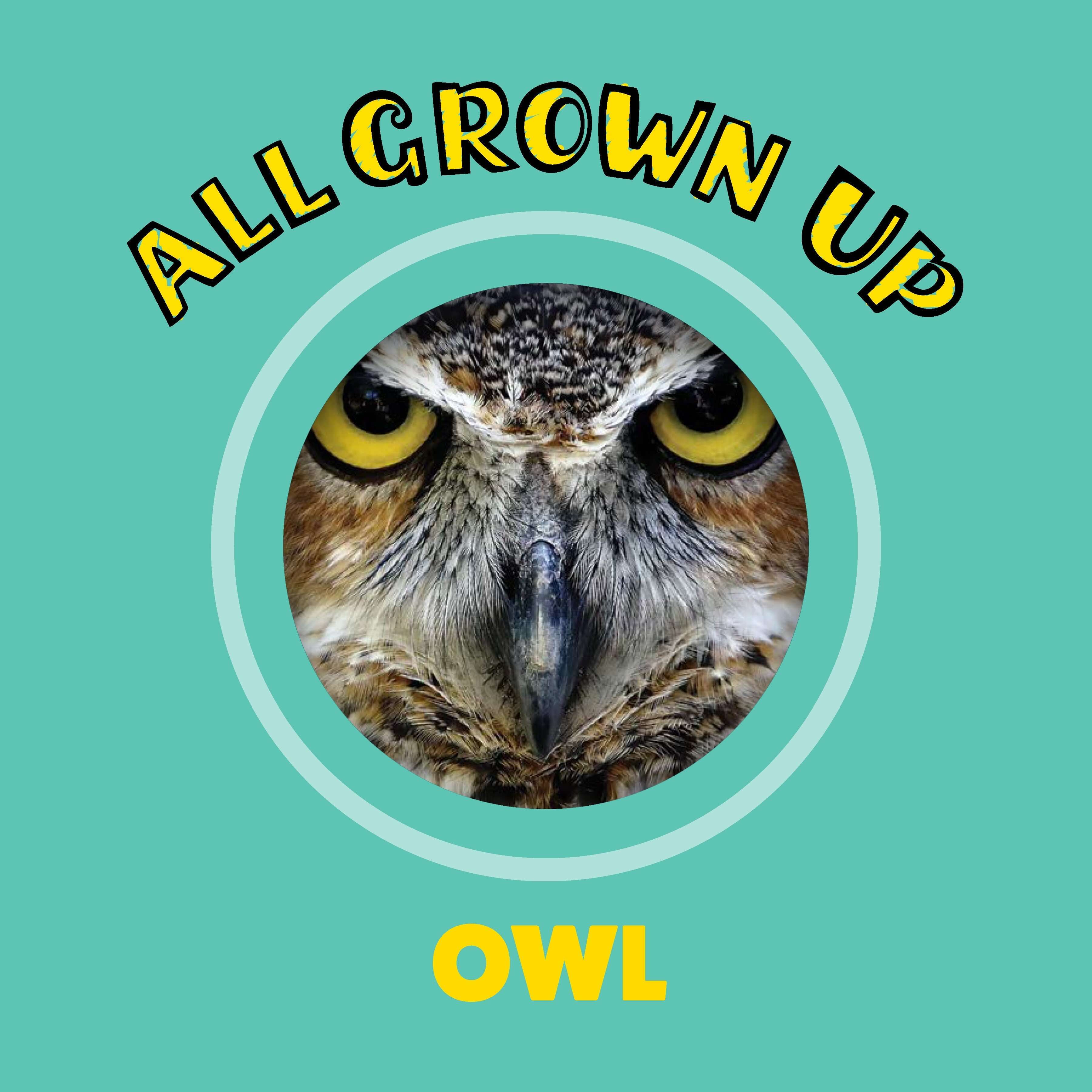 Peek and See Baby Animals All Grown Up - Image 3