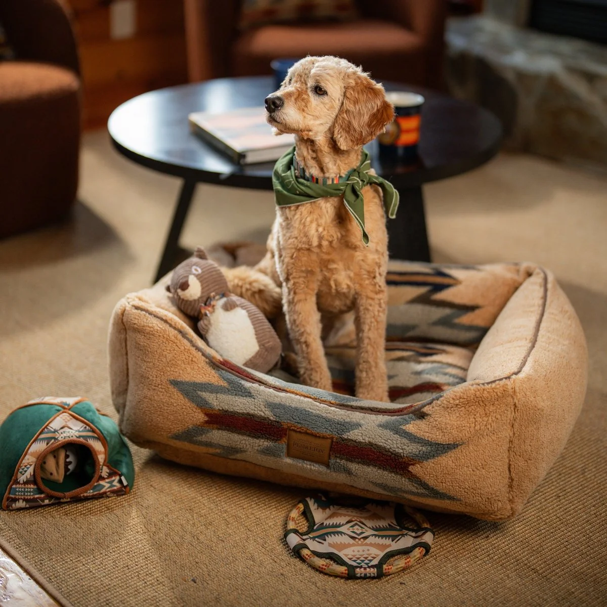 Pendleton Camp Discovery Tent Set Dog Toy - Image 6