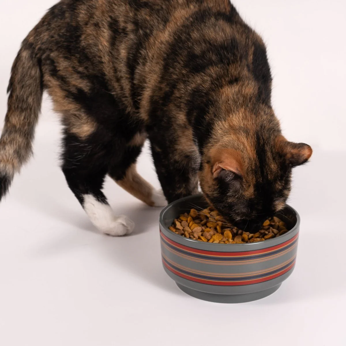 Pendleton Ceramic Food & Water Dog Bowl - Image 13