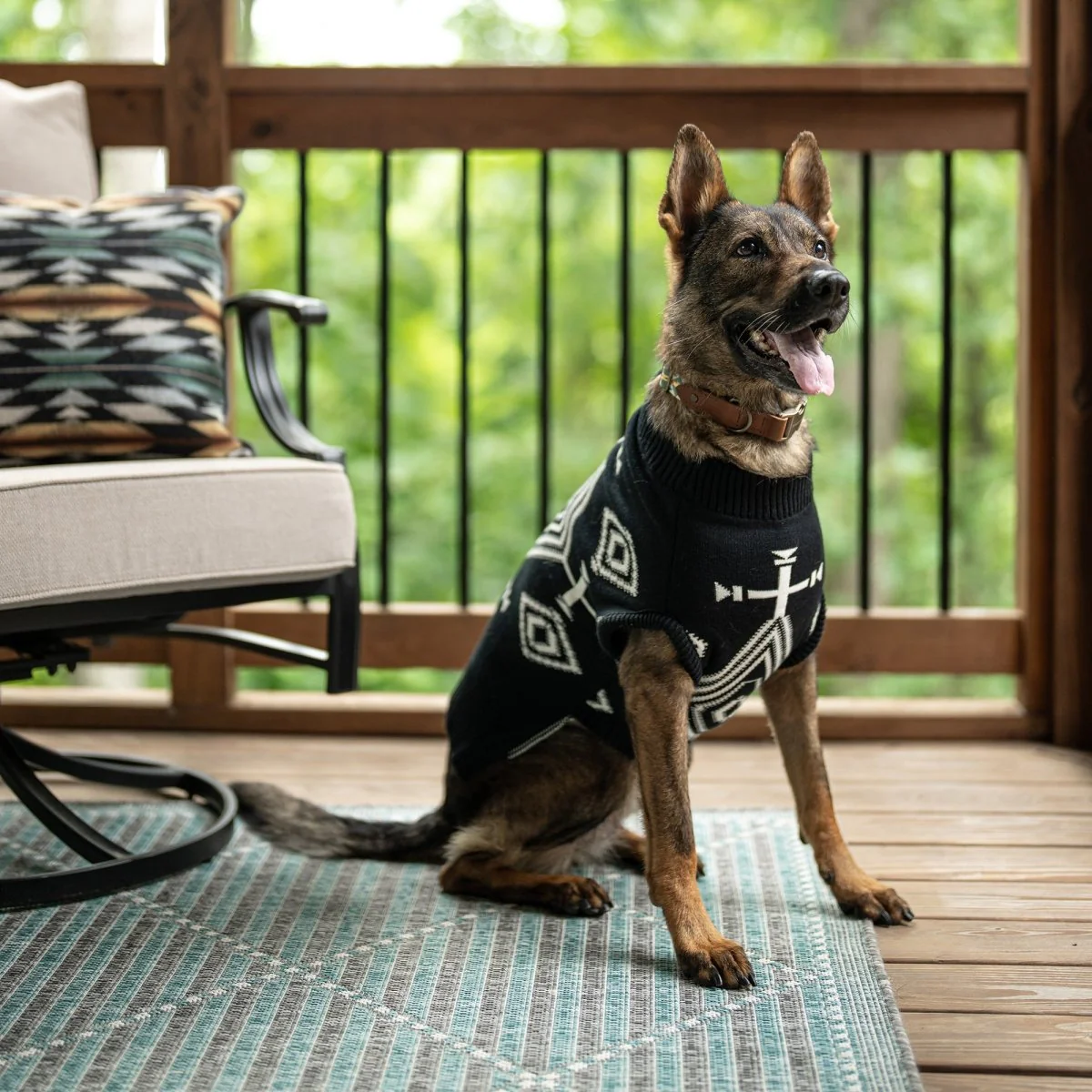 Pendleton Knit Pet Sweater - Image 13