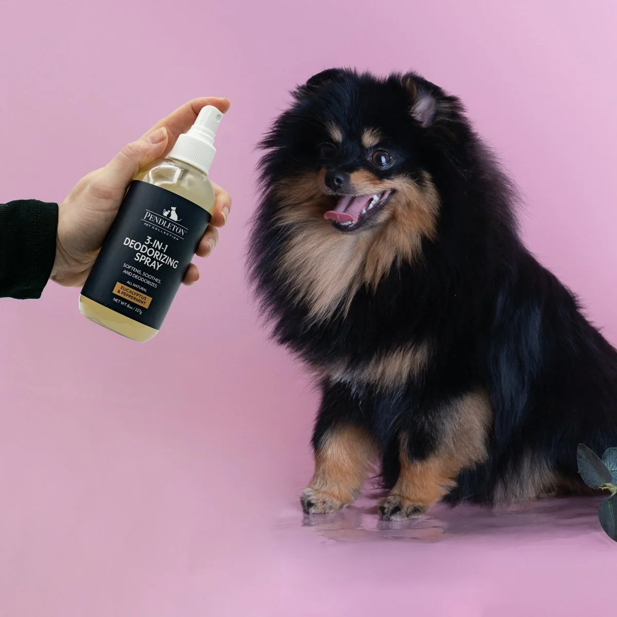 Pendleton Pet 3 in 1 Deodorizer - Image 4