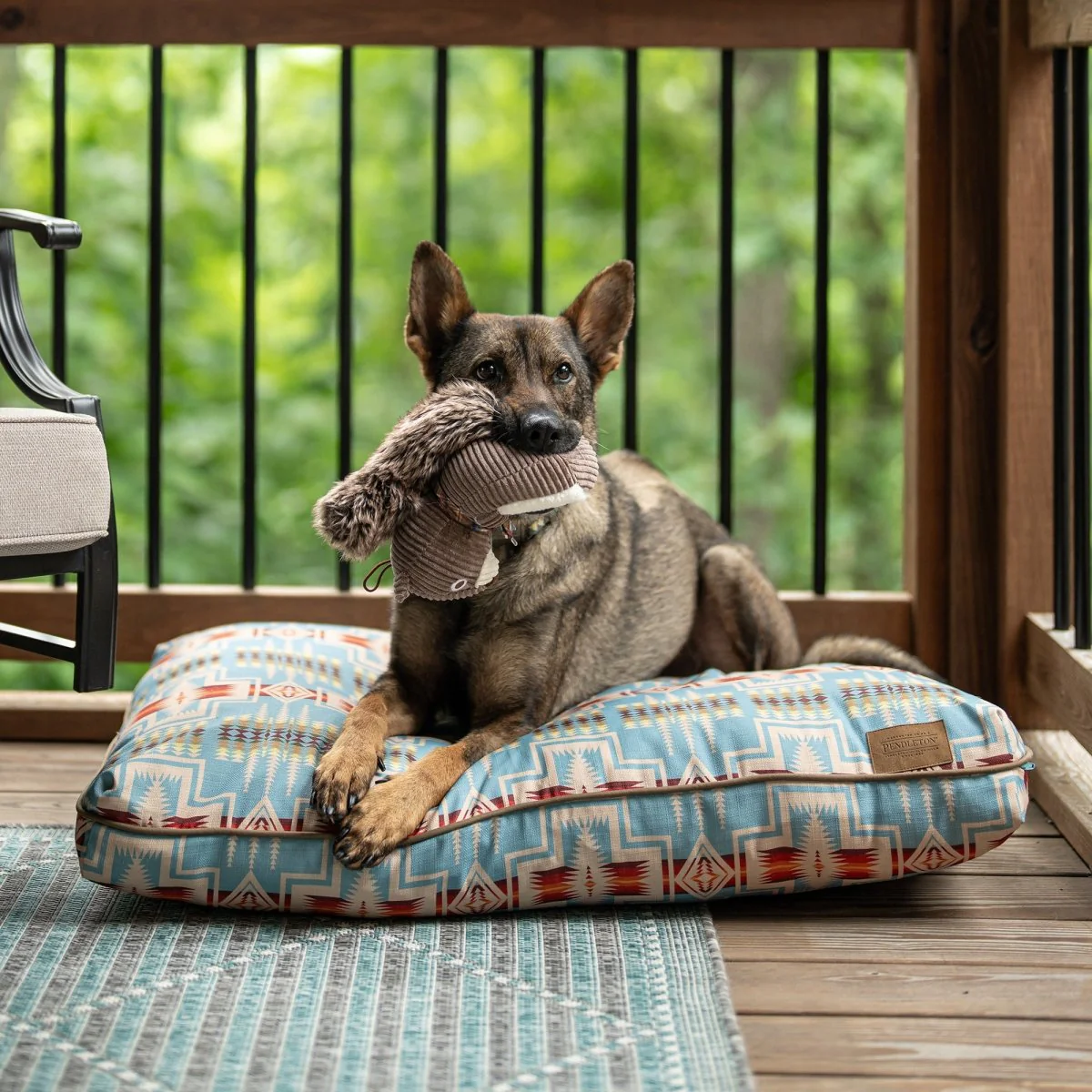 Pendleton Plush Squirrel Toy - Image 9