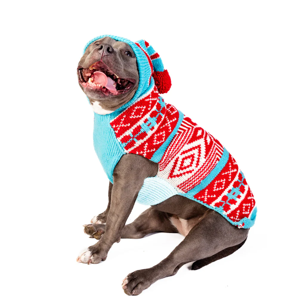 Peppermint Hoodie Dog Sweater - Image 3
