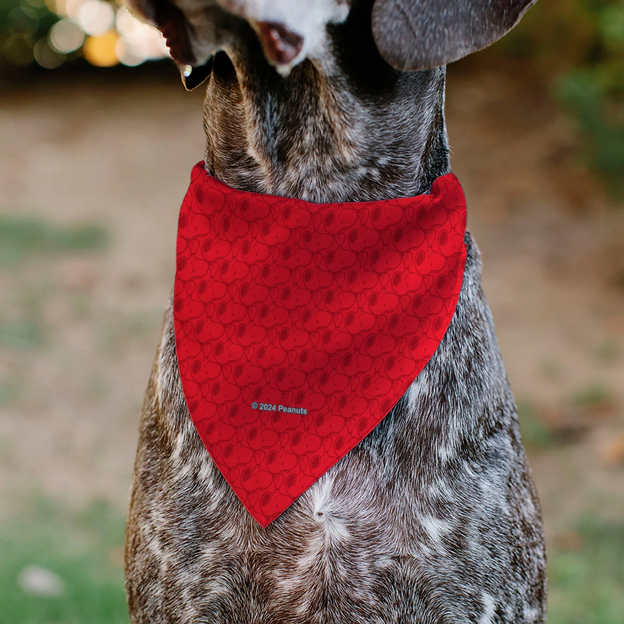 Pet Bandana - Peanuts Snoopy Face and Profile Pose Reds - Image 5