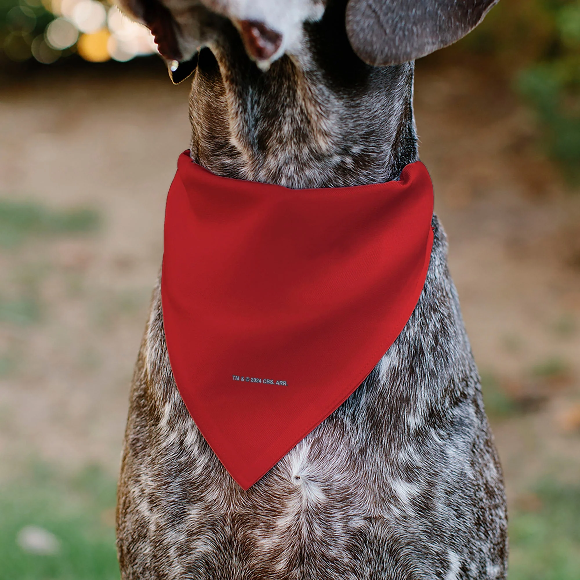 Pet Bandana - Star Trek Original Series Red Uniform Print - Image 5