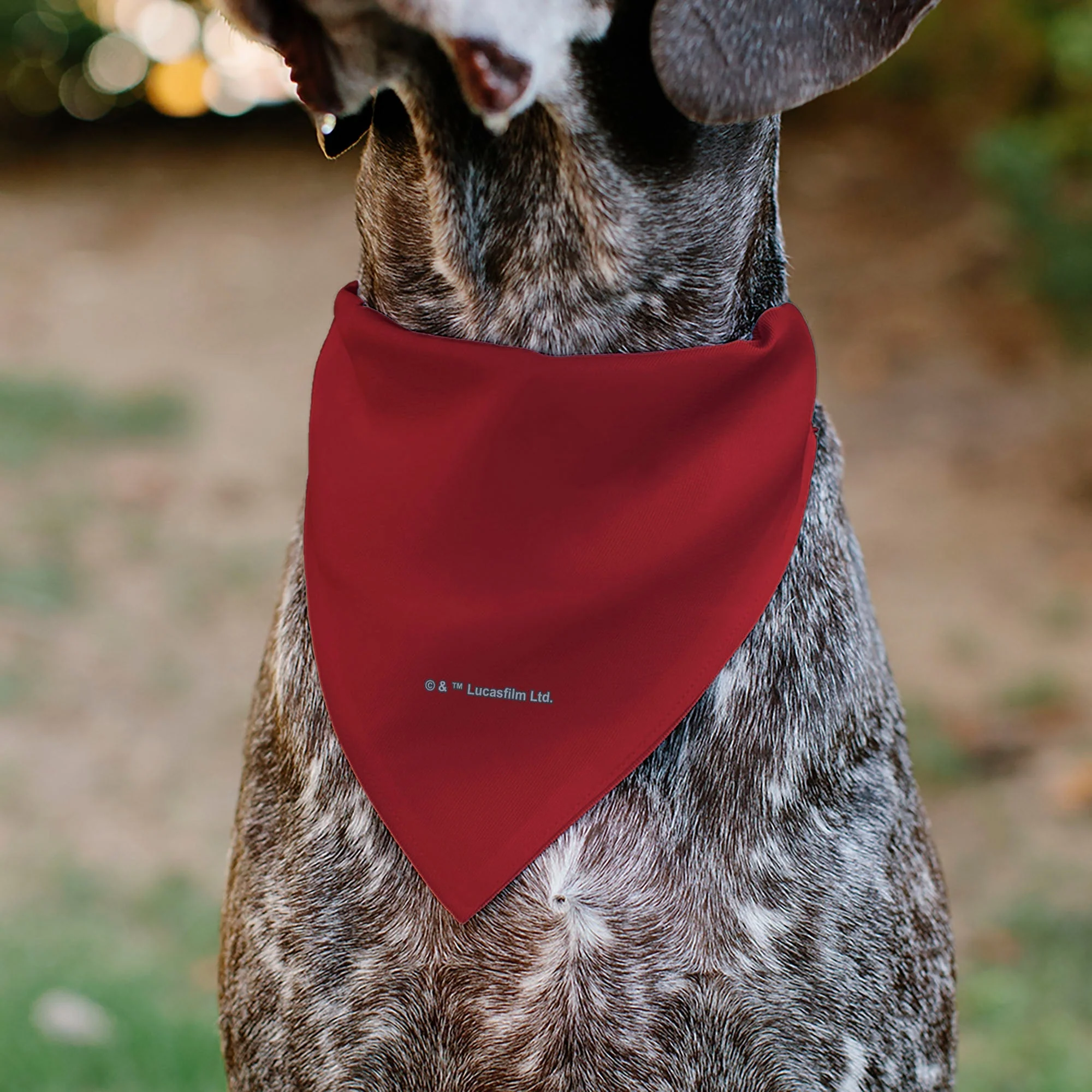Pet Bandana - Star Wars DARTH VADER Face and Text Flame Red/Black/White - Image 5