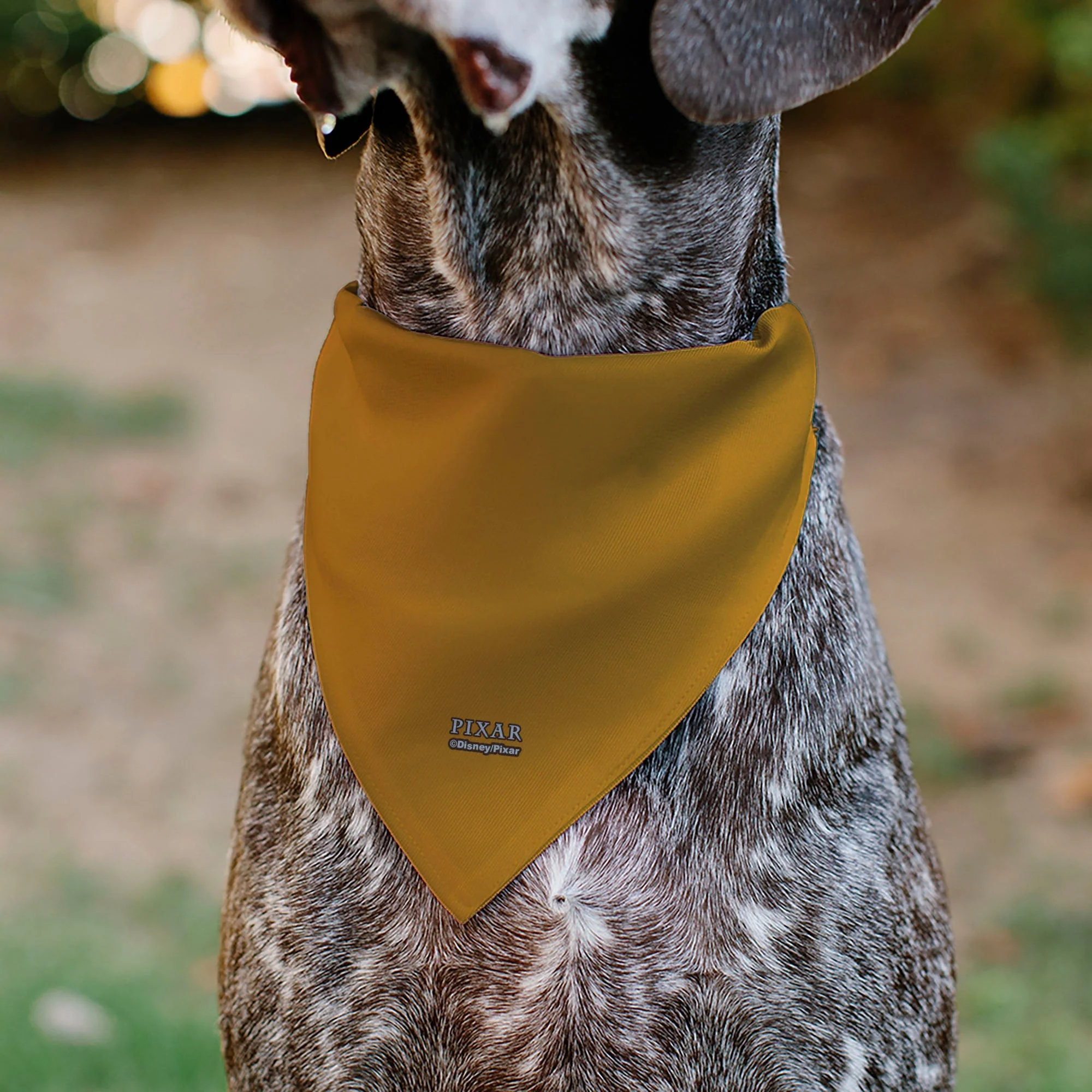 Pet Bandana - Up Dug Pose and Wilderness Explorer Badge Orange - Image 5