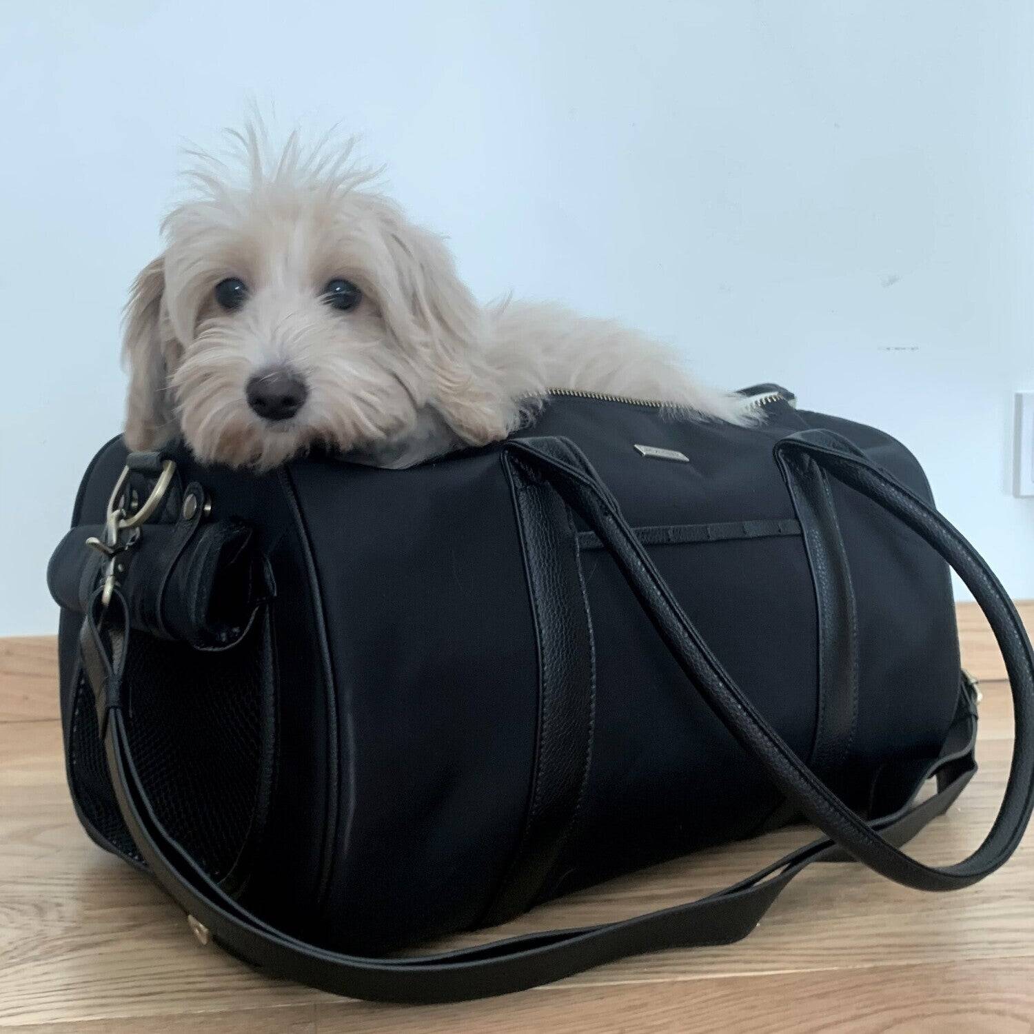 Pet Carrier Large + Multifunctional Bag - Black - Image 12